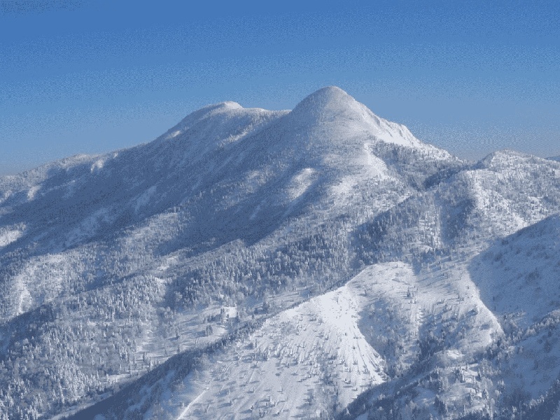 做试管前排精，南昌妇保试管经历