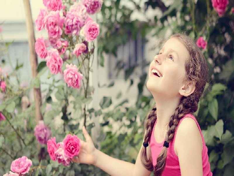 广州试管 哪个好，试管移植发脾气